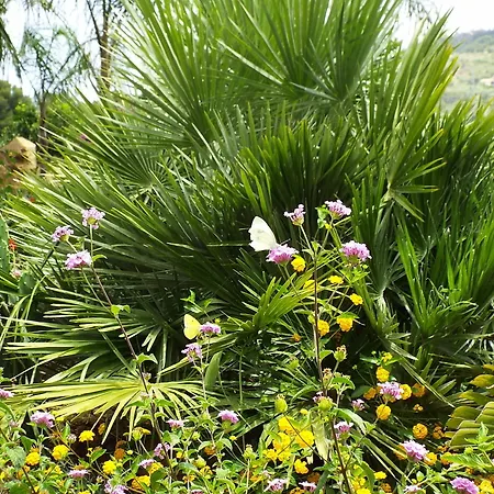 Вилла Agriturismo Cefalu Guest House Чефалу